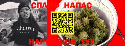крисы Малоярославец
